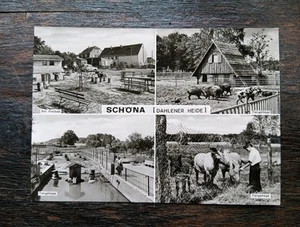Sörnewitz Schöna Freibad Tiergehege Kreis Oschatz Sachsen AK 1980 DDR - Bild 1 von 2