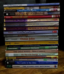 4. 5. Klasse 20 Kapitel Bücher Lehrer Klassenzimmer Bibliothek Set Hausunterricht FB587 - Bild 1 von 23