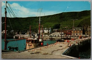 Postcard Scrabster From The Harbour Caithness Scotland Posted 16th June 1980 - Picture 1 of 2