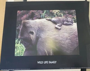 Wild Animal mother and baby colour posters 400x500mm tiger, gorilla, snow cat - Picture 1 of 6