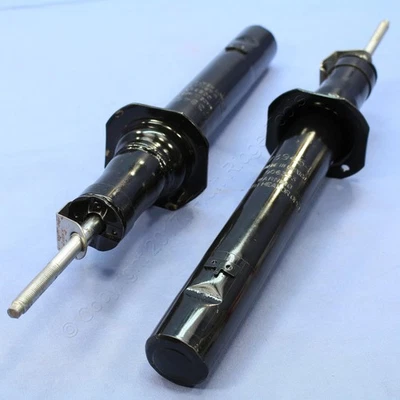 Puntales de suspensión de gas delanteros Gabriel G55820 G67820 para 95-00 Sebring Avenger 2 piezas Foto 1 de 4