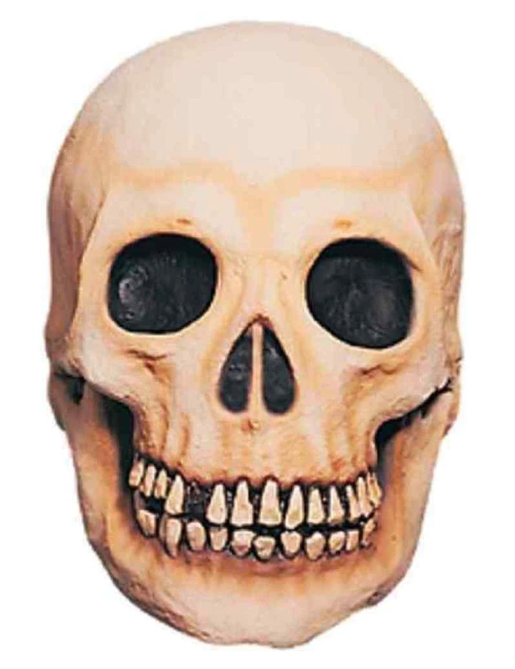 Skull Mask Human Skeleton Scary Fancy Dress Up Halloween Adult Costume Accessory - Image 1 of 1