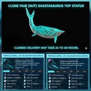 COPPIA CLONI M/F SHASTASAURUS NERO/CIANO ARCA ASCESA PVE PC/XBOX/PS5 - Foto 1 di 5