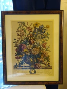 Stampa vintage Robert Furber (giugno) botanica 12 mesi di fiori incorniciata 21 5/8x17 5 - Foto 1 di 20
