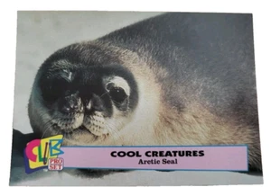 1992 Club Pro Set Cool Creatures #8 Arctic Seal Trading Card Animals (G9 - Picture 1 of 2
