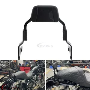 Respaldo de barra Sissy de pasajero corto para Harley CVO Road Street Electra Glide 14+ - Imagen 1 de 10