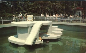 Slippery Cyril & Lonesome Famous Seals Storybook Gardens London Ontario Postcard - Picture 1 of 2