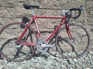 54cm 90s Schwinn 684 Aluminum Road Bike Rare - Picture 1 of 9