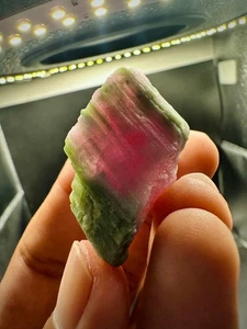 Top Quality 17g Natural Pink & Green Tourmaline Crystal | Raw Gemstone Specimen - Picture 1 of 8
