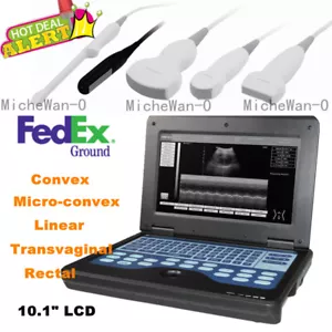 Human/VET Ultrasound Scanner Portable Laptop Machine Digital Probe, Factory Sale - Picture 1 of 33