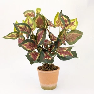 Artificial Coleus Orb Coloured Leaf Potted Plant - Picture 1 of 1