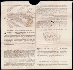 1840 1d Mulready Spectacular Newman FERN Advert Irish Natural History RARE - Picture 1 of 4