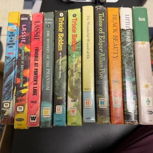 Vintage Whitman Lot of 10Hardcover Books Trixie Black Beauty Wizard of Oz + MORE - Picture 1 of 24
