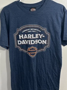 Legendary Motorcycles, Harley-Davidson, Mad River, Medium Gray T-Shirt - Picture 1 of 5
