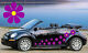 28 Purple & Yellow Flower Stickers .Wall sticker ,Car strickers