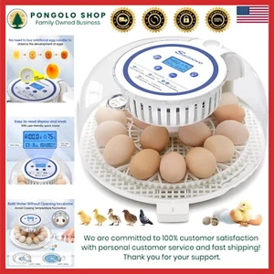 Compact Egg Incubator for Hatching 18 Chickens, Ducks & Pheasants - Easy Monitor - Picture 1 of 11
