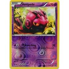 Venipede 51/146 XY Reverse Holo Pokemon Card NM
