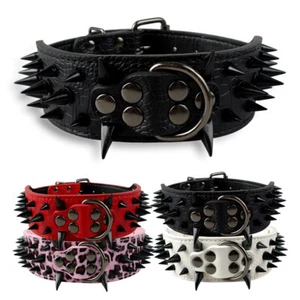 Hundehalsband Leder Nietenhalsband mit Stachel Nieten Rottweiler Verstellbar - Bild 1 von 16