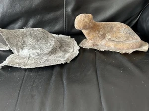 Latex Rubber Concrete Mould Of An Otter ( With Support Case ) - Picture 1 of 4