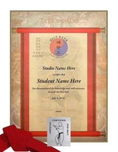 Martial Arts Certificates - TaeKwonDo & Karate Rank Certificates - Pack of 10 - Picture 1 of 1