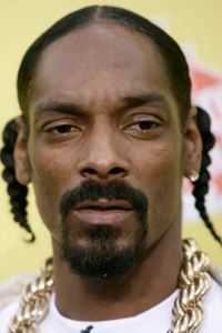 Snoop Dogg Famous American Rapper Art Wall Indoor Room Poster - POSTER 20x30 - Picture 1 of 4