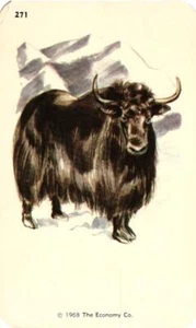 1968 Kindergarten Flash Card Yak #271 Economy Co. Smash Book Scrapbook - Picture 1 of 1