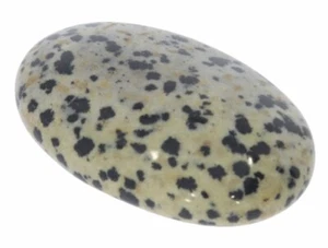  Unikat Linsenstein Handschmeichler Dalmatiner Jaspis 40x30 10667 - Bild 1 von 1