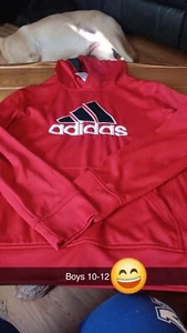 Boys Hoody 10/12 - Picture 1 of 1
