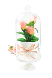 Cloche en Verre Plat Porcelaine Deco Globe Dôme de Déco Décoration Table 30cm - Picture 1 of 10