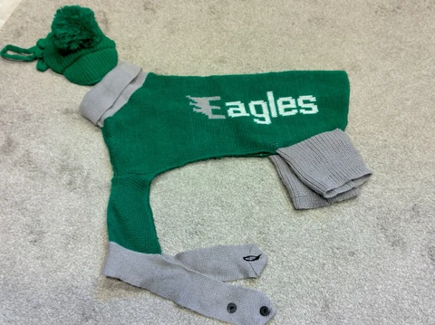 Vintage Dog Sweater & Hat - Philadelphia Eagles NFL - Green / Gray - Trademark Cover