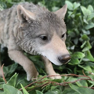 Vivid Arts - Prowling Wolf - Picture 1 of 8