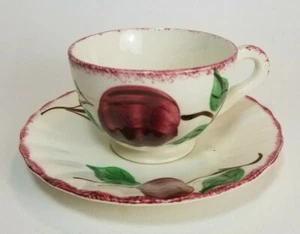 Vintage Blue Ridge Southern Potteries CRAB APPLE Tea Cup & Saucer USA - Picture 1 of 7