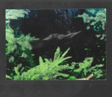 The Wizard of Oz Series II Puzzle Set 2 Question Card 1