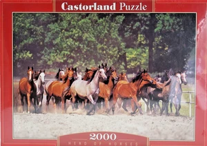 NEW Castorland 2000 Piece Jigsaw Puzzle Herd Of Horses 92 x 68 cm RARE Design - Picture 1 of 16
