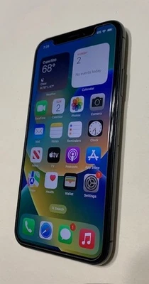 Apple iPhone X - 256 GB - Space Gray (Unlocked) - Image 1 of 3