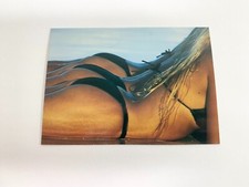 No Ifs Ands Or Ujena Swimwear Illustrated 1994 Edition Comic Images Card # 9