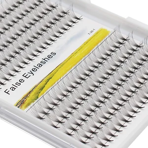 Premade Fans Eye Lashes Extensions 12D Natural Individual False Eyelashes Cluste - Picture 1 of 12