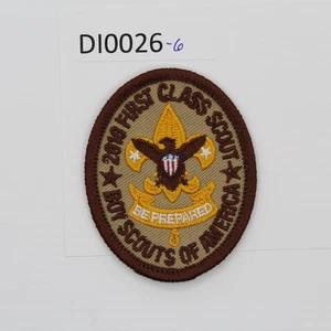 Boy Scout Rank Badge 2010 First Class Scout - Picture 1 of 1