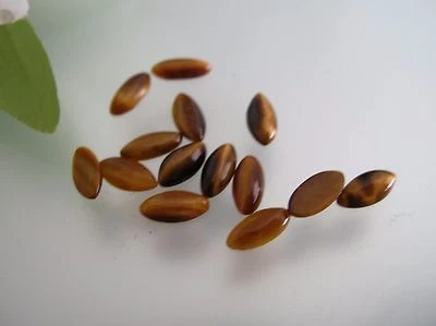 5 pcs Vintage top quality Tiger Eye small marquise cut gemstones 3-4 x 8mm - Image 1 of 2