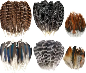 60pcs Natural Turkey Feathers, Pheasant Feathers, Spotted Feathers, Duck Feather - Picture 1 of 7
