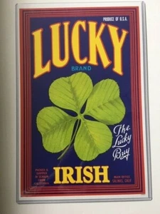Lucky Brand Irish Poster In Protective Plastic Sleeve NEW 12 x 17 NEW - Imagen 1 de 1