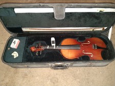 Violin