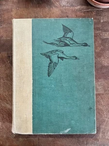 Birds Of America Vintage 1936 Garden City Publishing New York USA Louis Fuertes - Bild 1 von 10