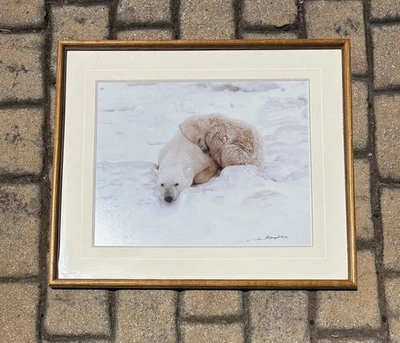 Thomas Mangelsen, Polar Comfort, Out of Print, Signed, Limited Edition - Image 1 of 4