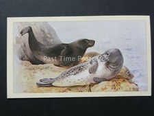 No.8 GREY SEAL British Mammals GRANDEE T30 Issued by Player 1983