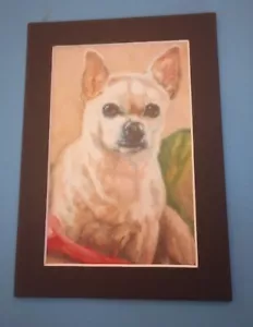 Impresión de 5" x 7" enmarañada 4" x 6" de retrato de perro cachorro chihuahua rubio - Imagen 1 de 2