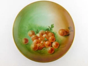 Plato de bayas de fruta pintado a mano Hutschenreuther Selb Bavaria BT Co BUEN ESTADO - Imagen 1 de 11