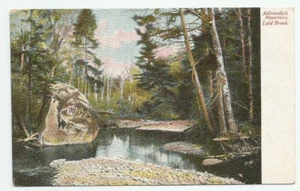 Adirondack Mountains Cold Brook New York Postcard UDB Antique Forest Scene NY - Picture 1 of 2