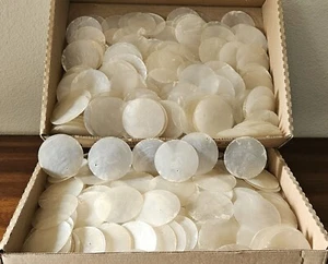 Capiz Shells Round 2.5" Natural Sea Shell Discs. Lot of 25. Mult Lots Available. - Picture 1 of 9