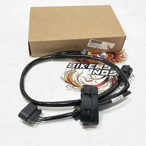 NOS Genuine Harley 2017 Up Freewheeler Instrument Wire Harness 69200740 - Picture 1 of 4